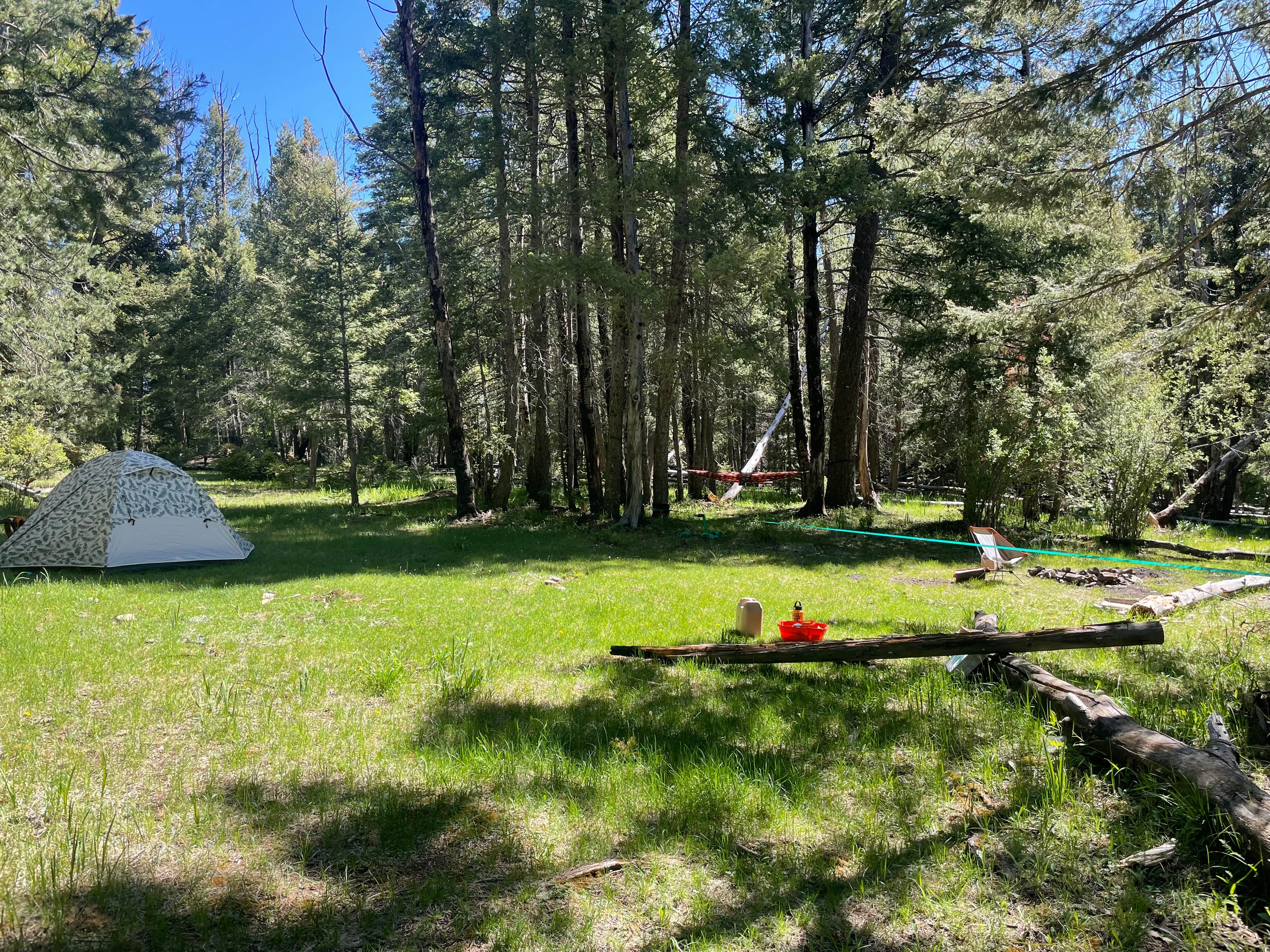 Camper submitted image from Upper Karr Canyon Campground - 5