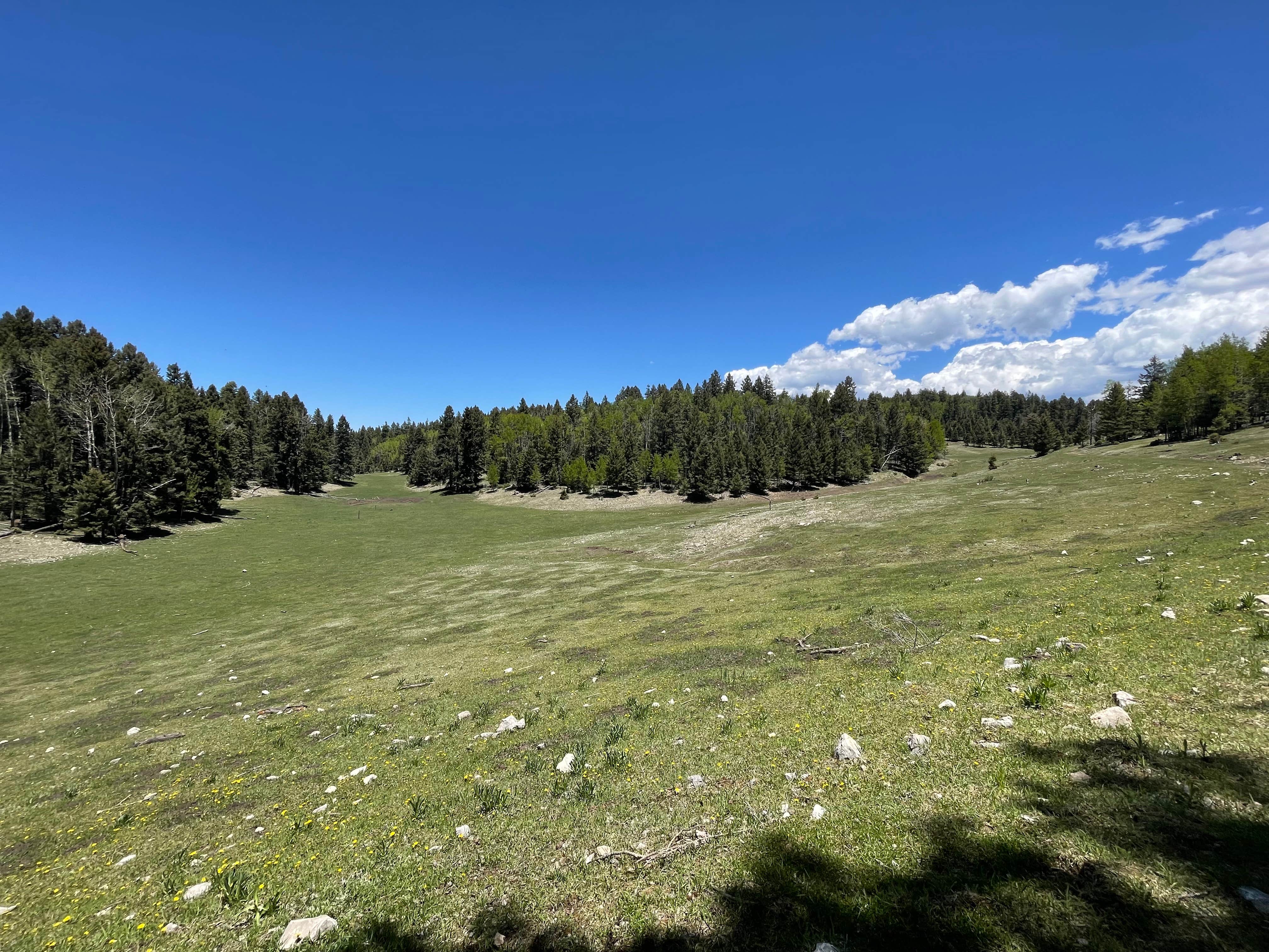 Camper-submitted photo at Upper Karr Canyon Campground near Sunspot, NM
