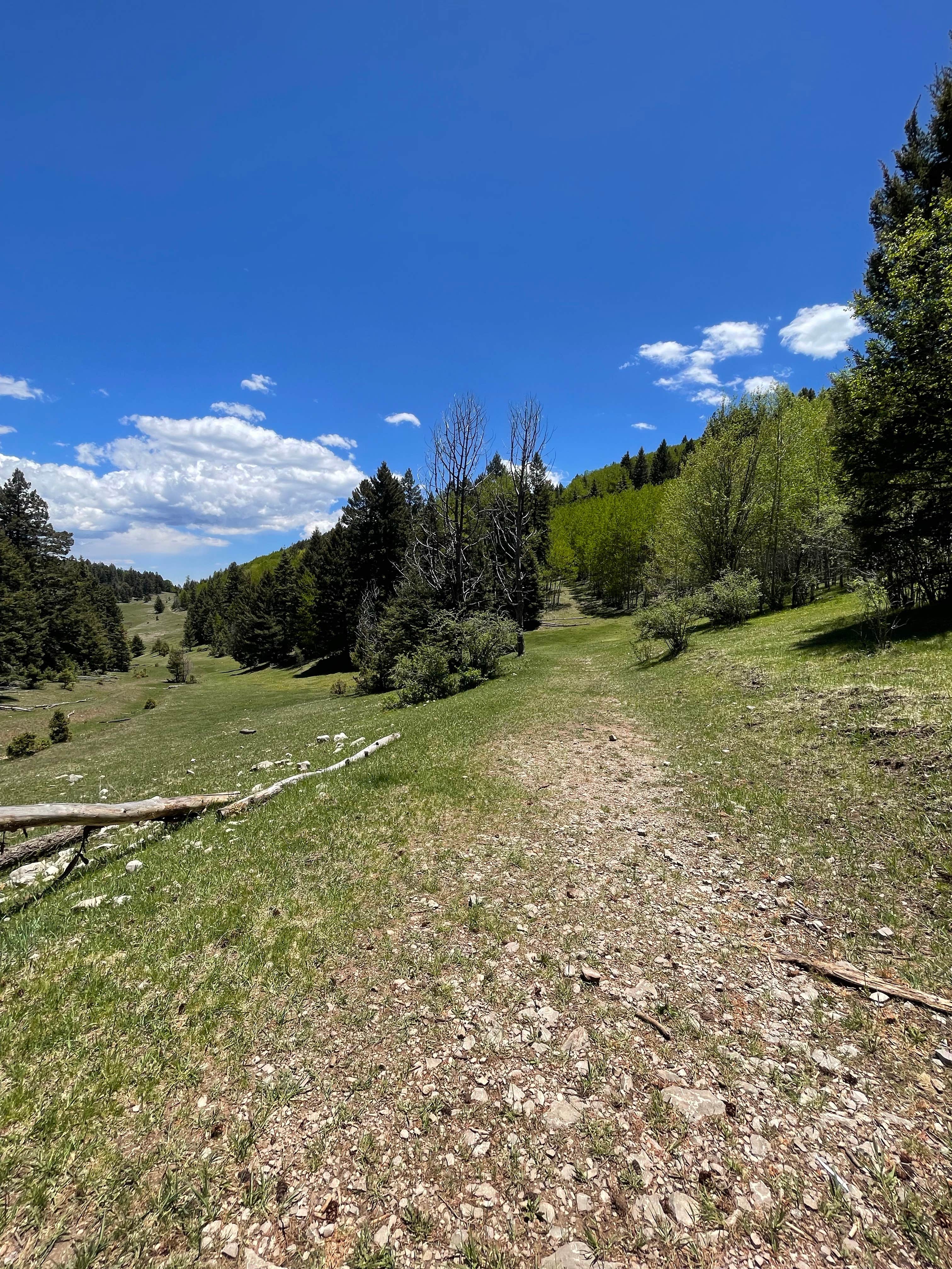 Camper submitted image from Upper Karr Canyon Campground - 3