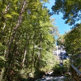 Review photo of Amicalola Falls State Park Camping by Holly B., October 14, 2018
