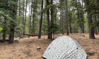 Camping near Manzano Mountain Retreat: Red Canyon Campground, Mountainair, New Mexico