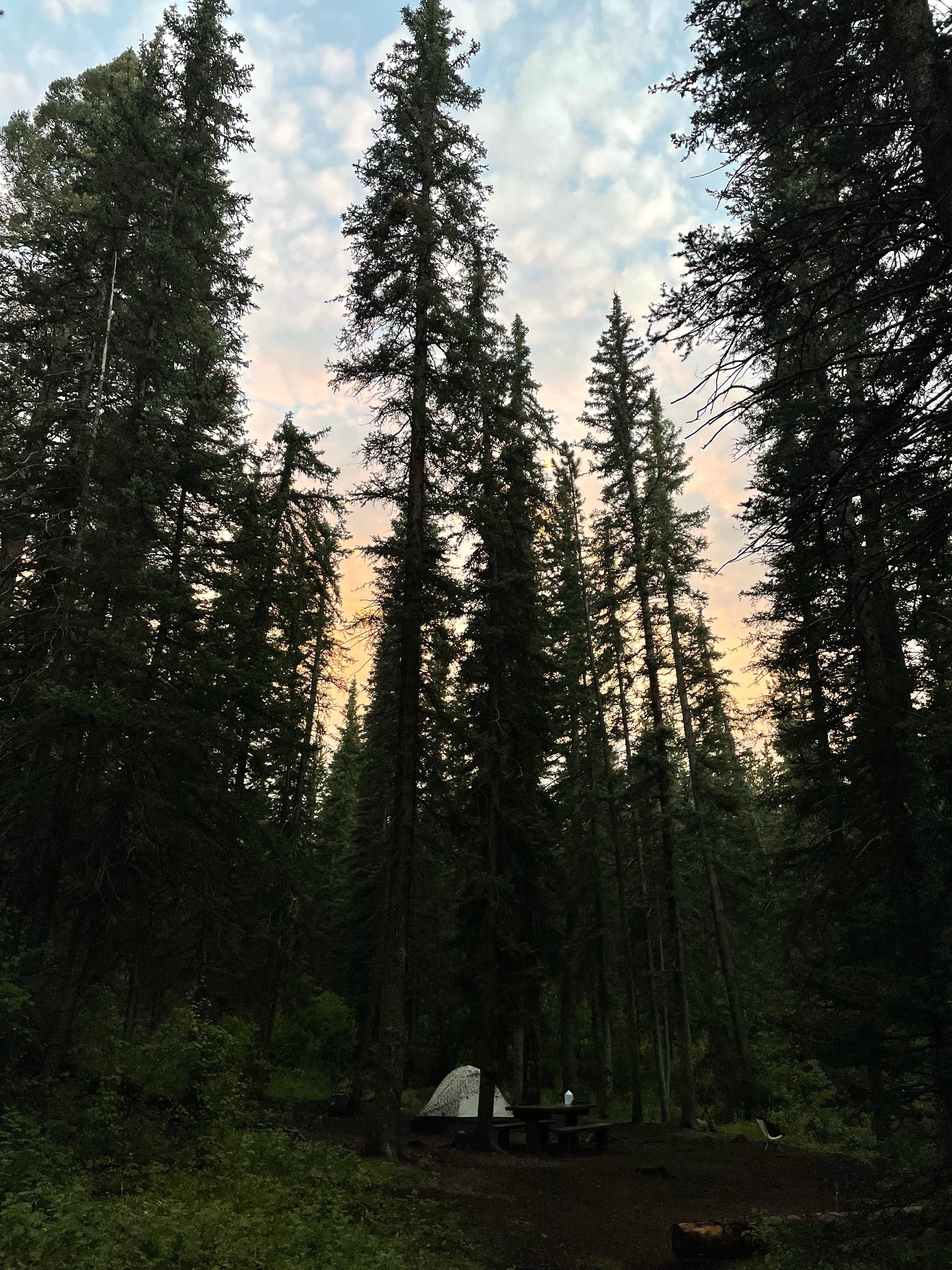 Carson P.'s photo at Green Mountain near Deckers, CO