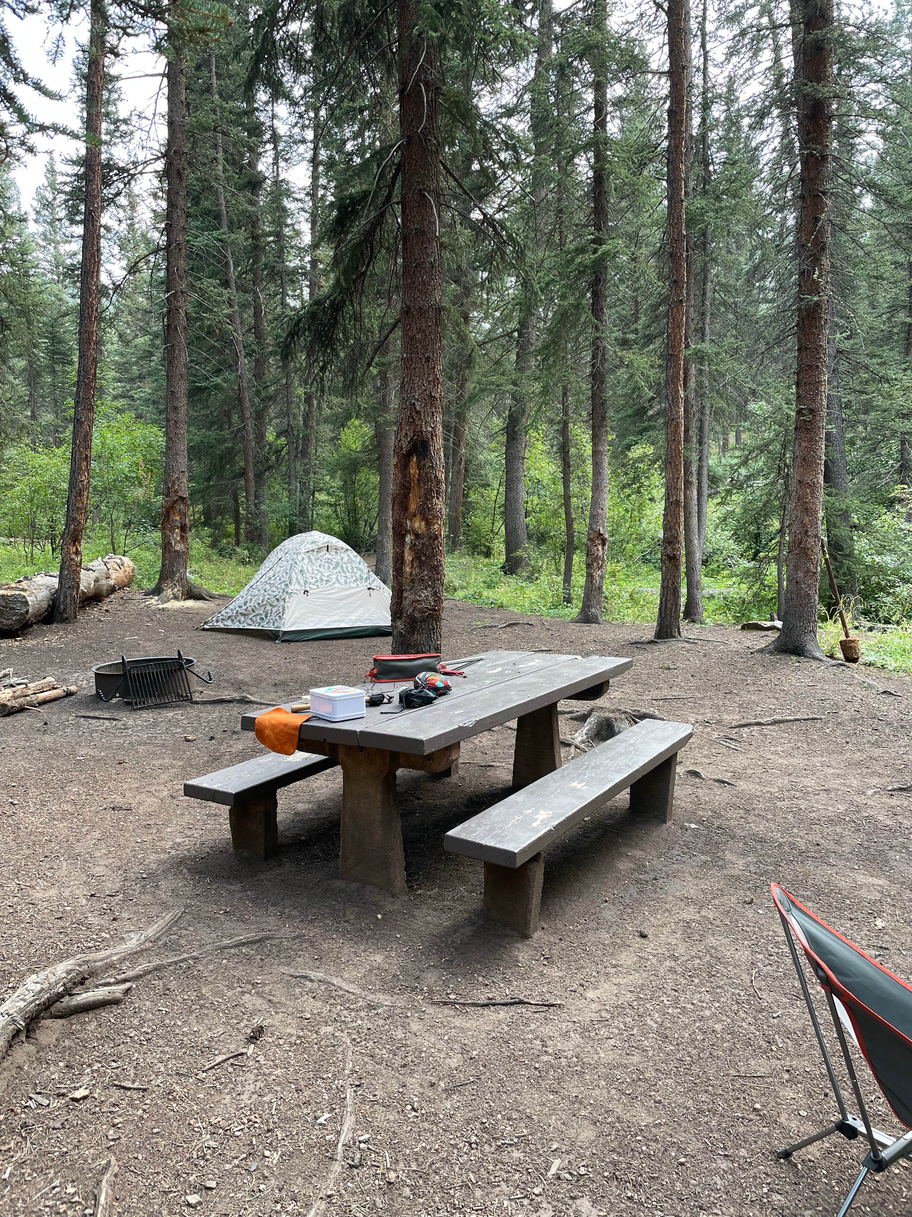 Carson P.'s photo at Green Mountain near Bailey, CO