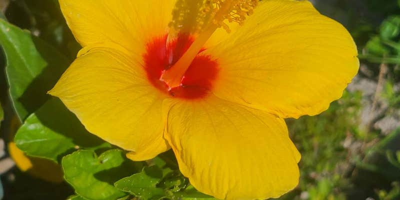 Camper submitted image from Anchors Out Rv