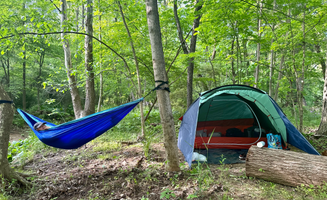 Sarah C.'s photo at Pat's Primitive Place near Dysart, PA