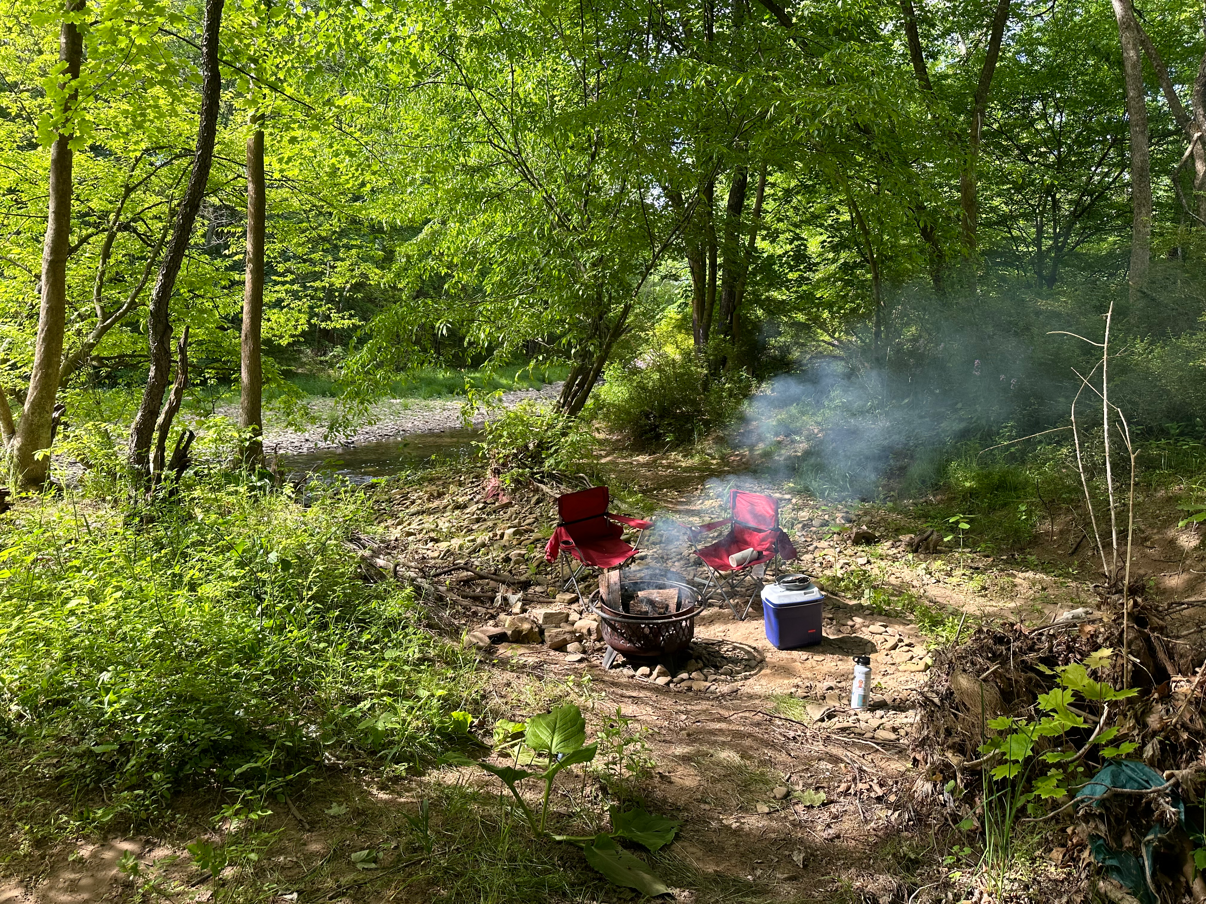 Camper submitted image from Pat's Primitive Place - 5
