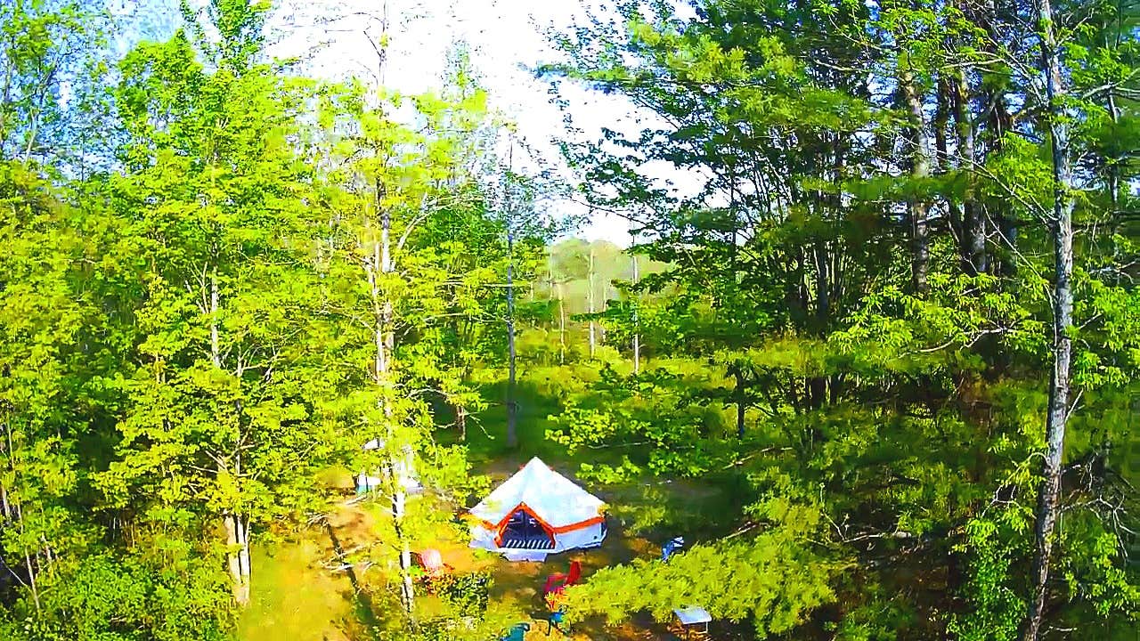 Matt F.'s photo at Whitetail Meadows near Fort Plain, NY