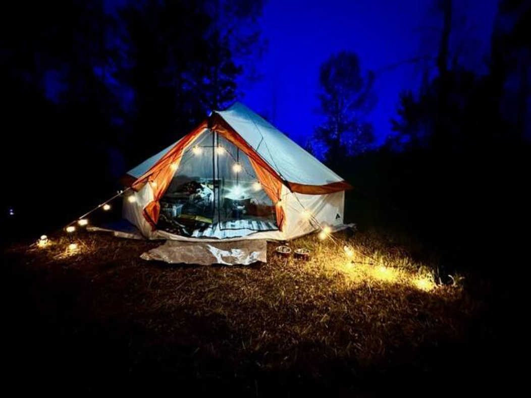 Camping near Royal Mountain Campsites: Whitetail Meadows, Sloansville, New York