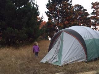 Camper submitted image from Woodside Campground — Salt Point State Park - 3