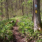 Review photo of Burr Oak State Park Campground by Lauri C., October 14, 2018