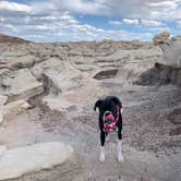 Review photo of Bisti/De-Na-Zin Wilderness | Dispersed Camping by Jennifer M., May 31, 2023