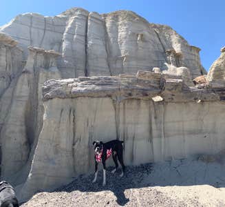 Camper-submitted photo from Bisti/De-Na-Zin Wilderness | Dispersed Camping