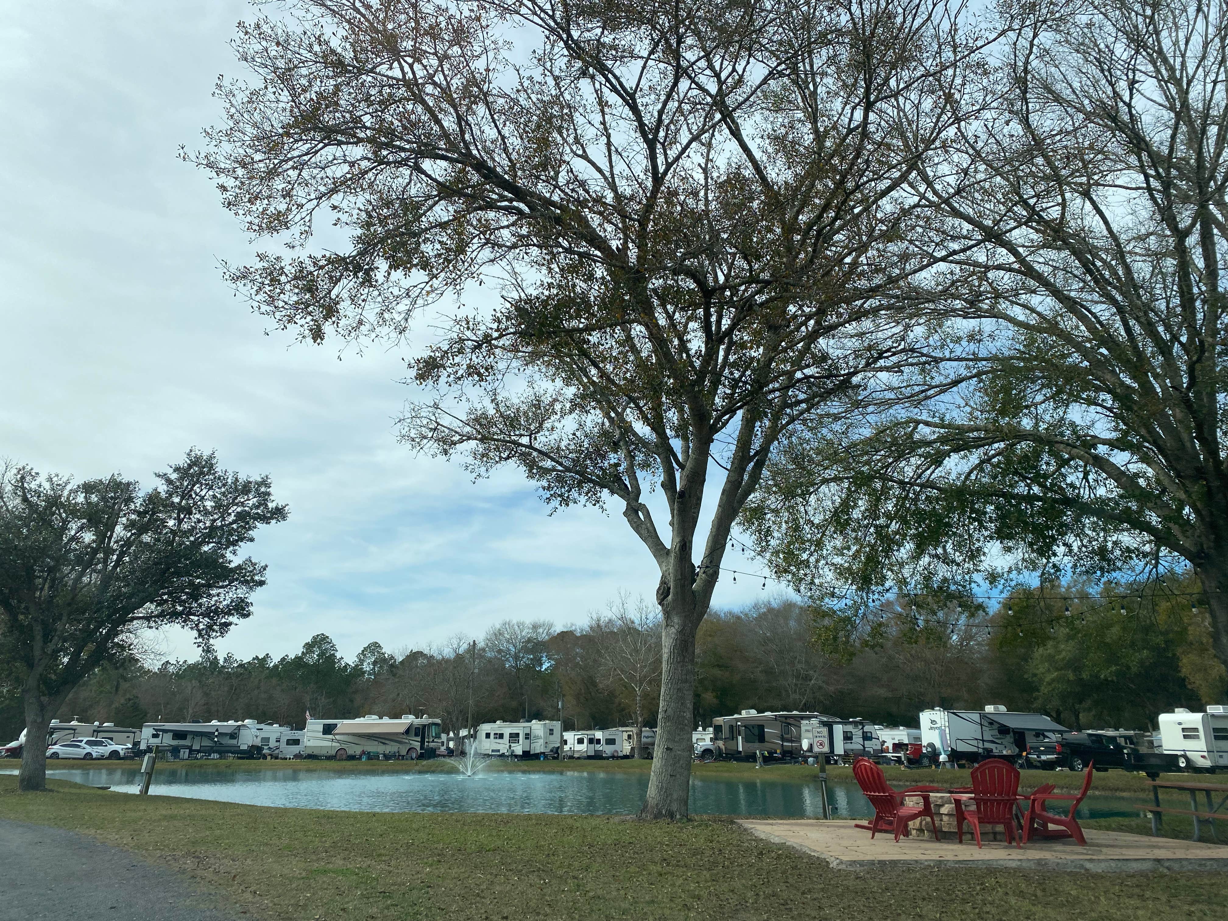Camper submitted image from Gainesville RV Park - 2