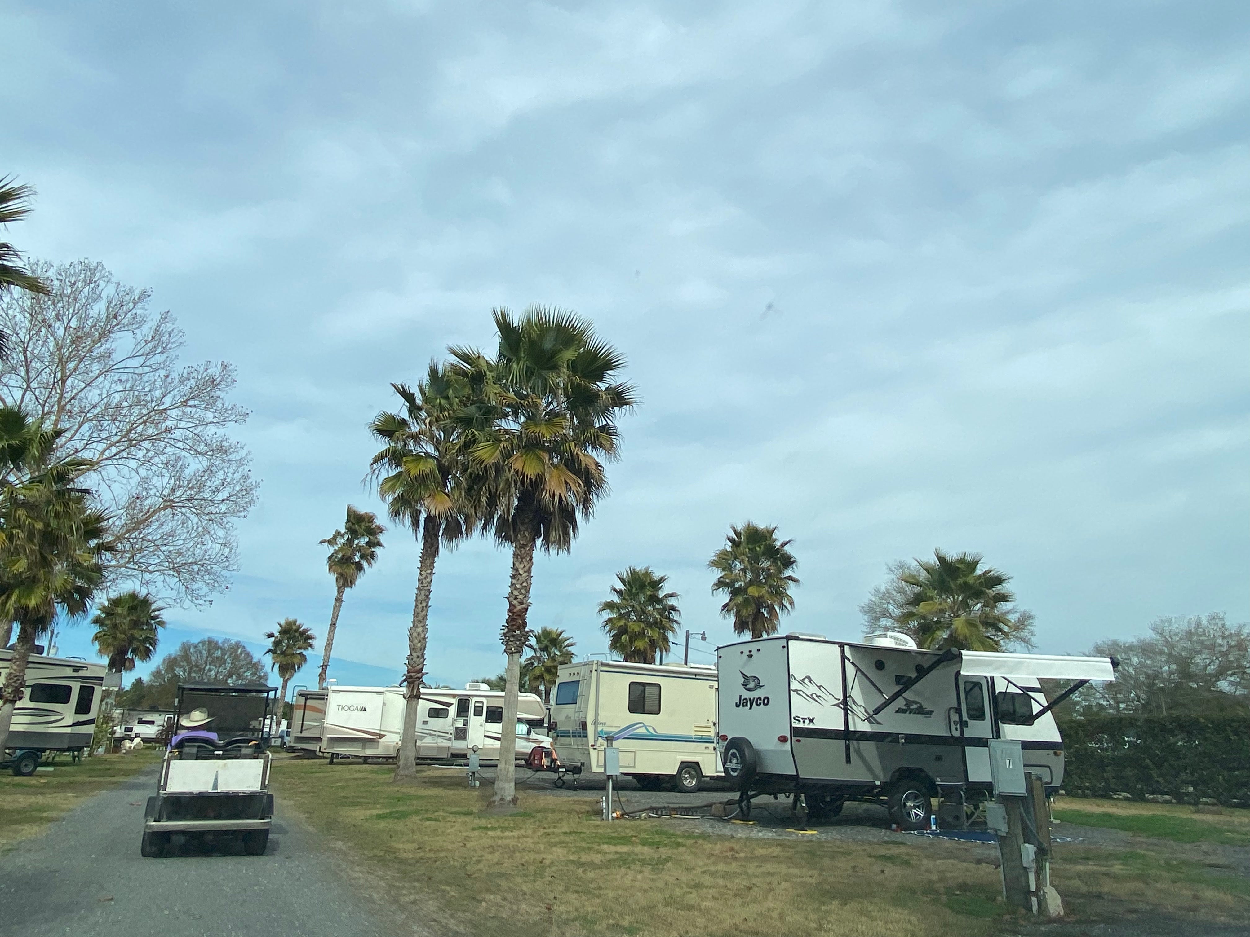 Camper submitted image from Gainesville RV Park - 5