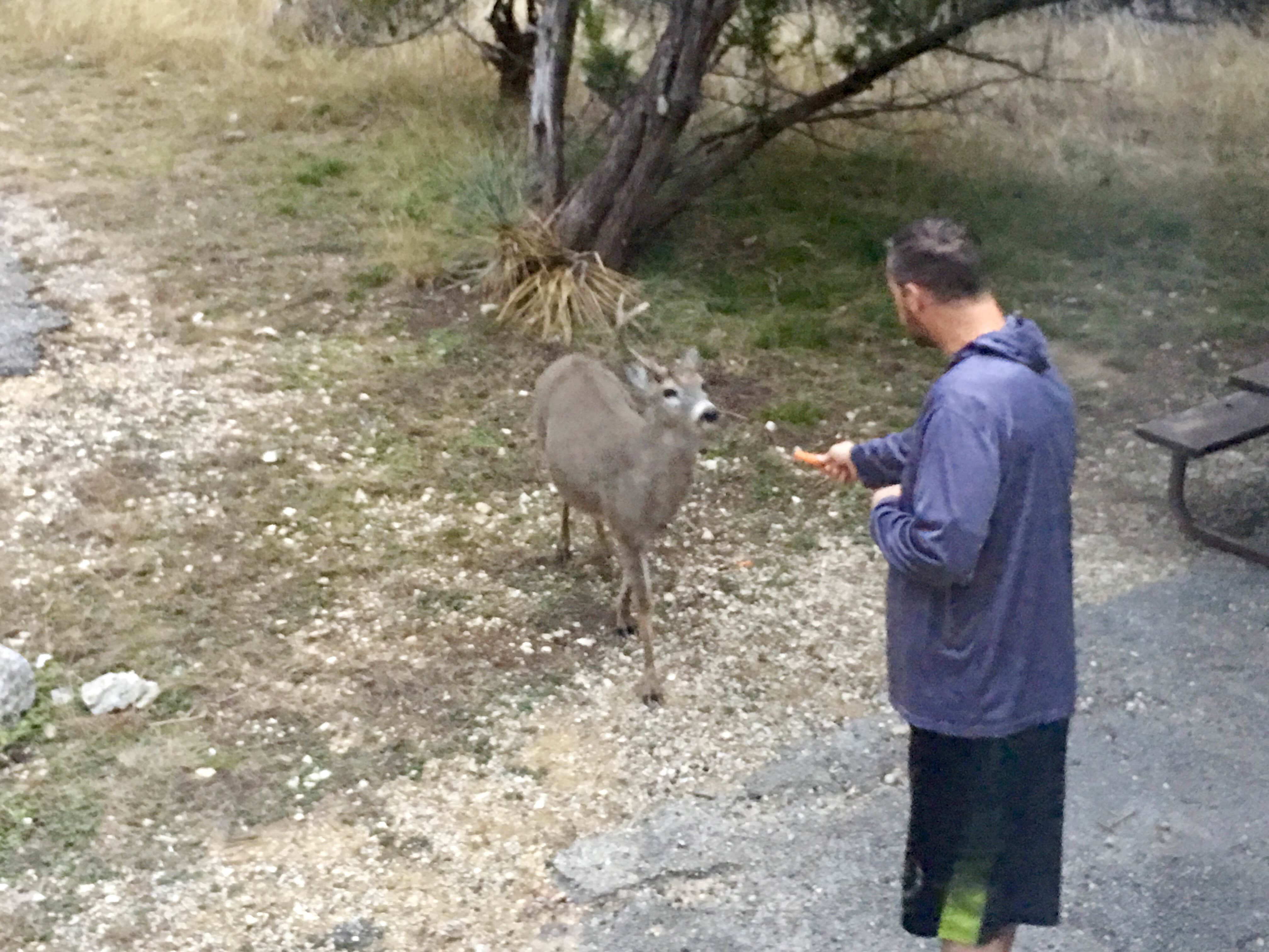 Camper submitted image from Thousand Trails Medina Lake - 5