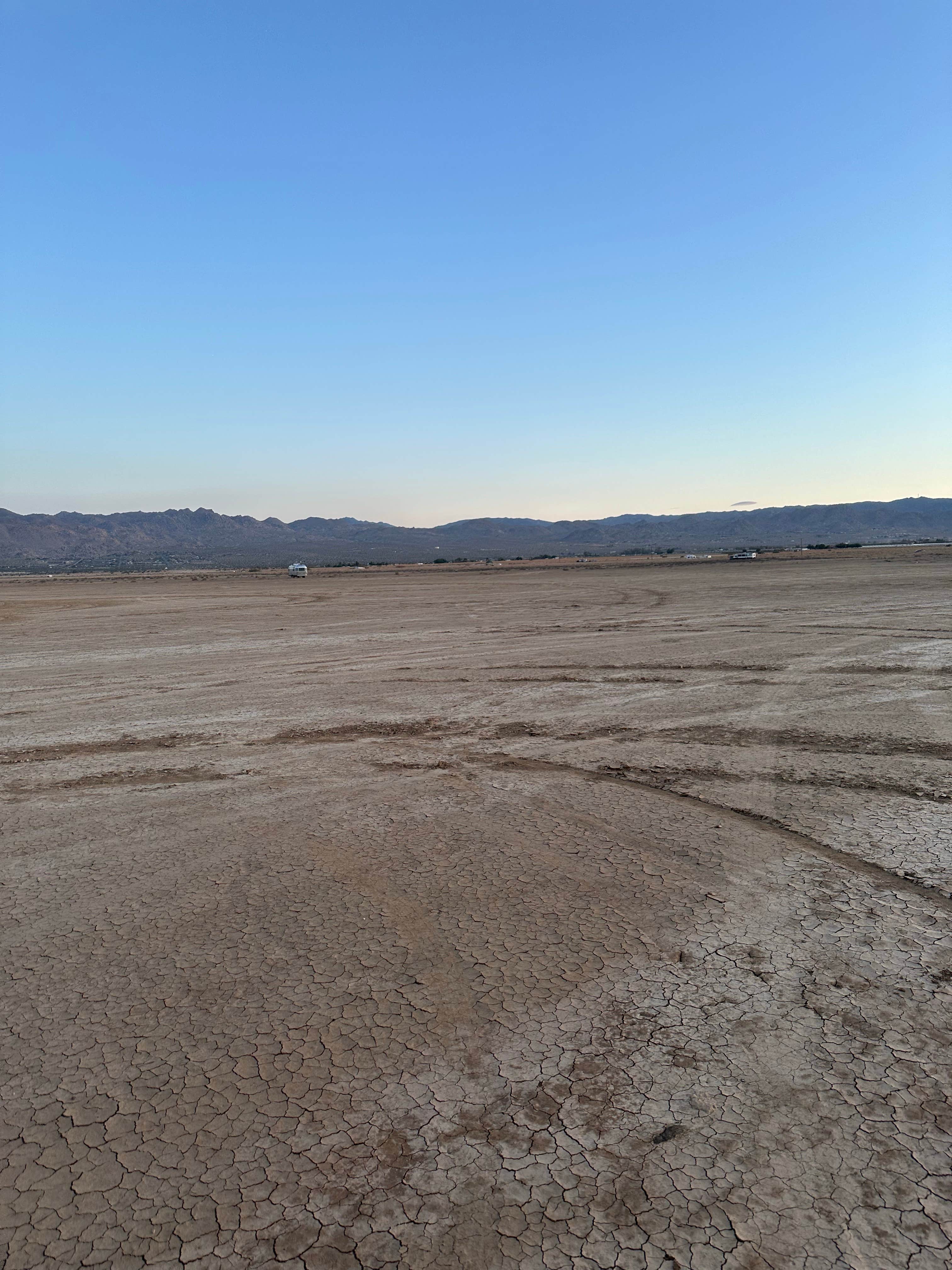 Camper submitted image from North Joshua Tree - 2