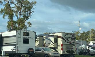 Camping near Caladesi RV Park: Sherwood Forest RV Resort, Palm Harbor, Florida