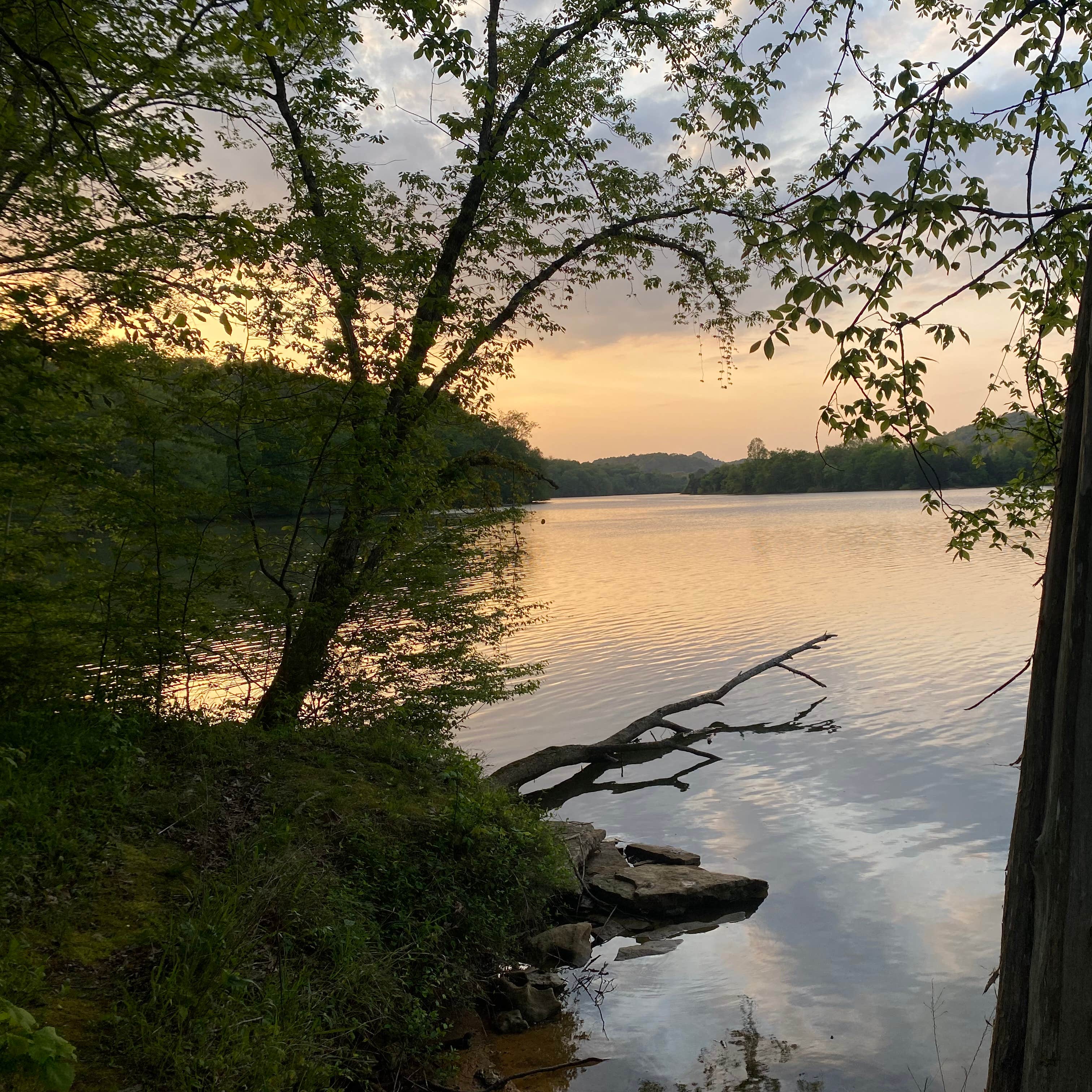 COE Cordell Hull Lake Salt Lick Creek Campground Gainesboro, TN