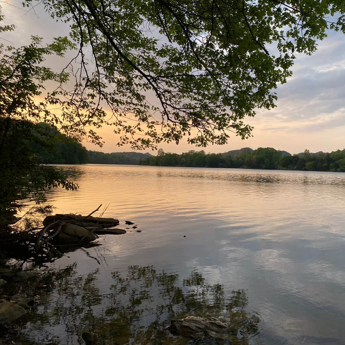COE Cordell Hull Lake Salt Lick Creek Campground Gainesboro, TN