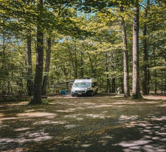 Camper-submitted photo from Catskill/Kenneth L Wilson Campground