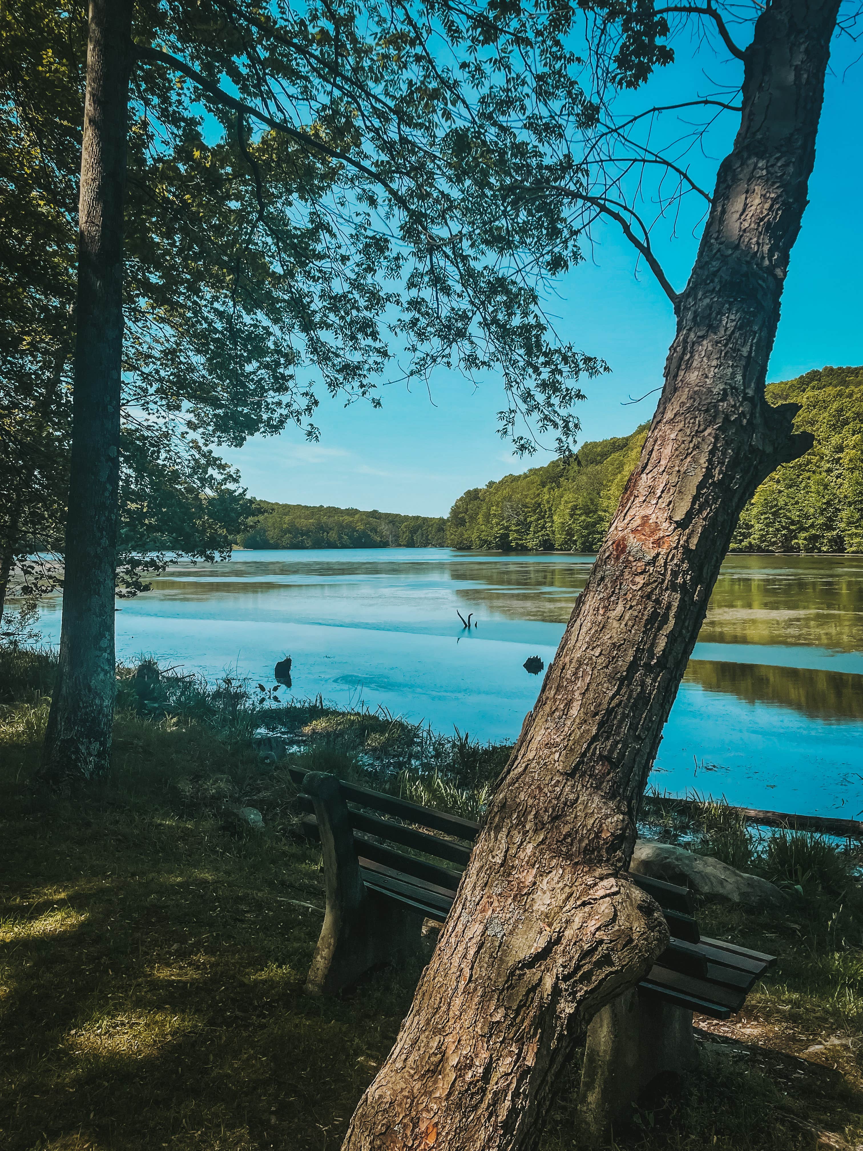 Camper-submitted photo at Winding Hills Park near Cornwall-on-Hudson, NY