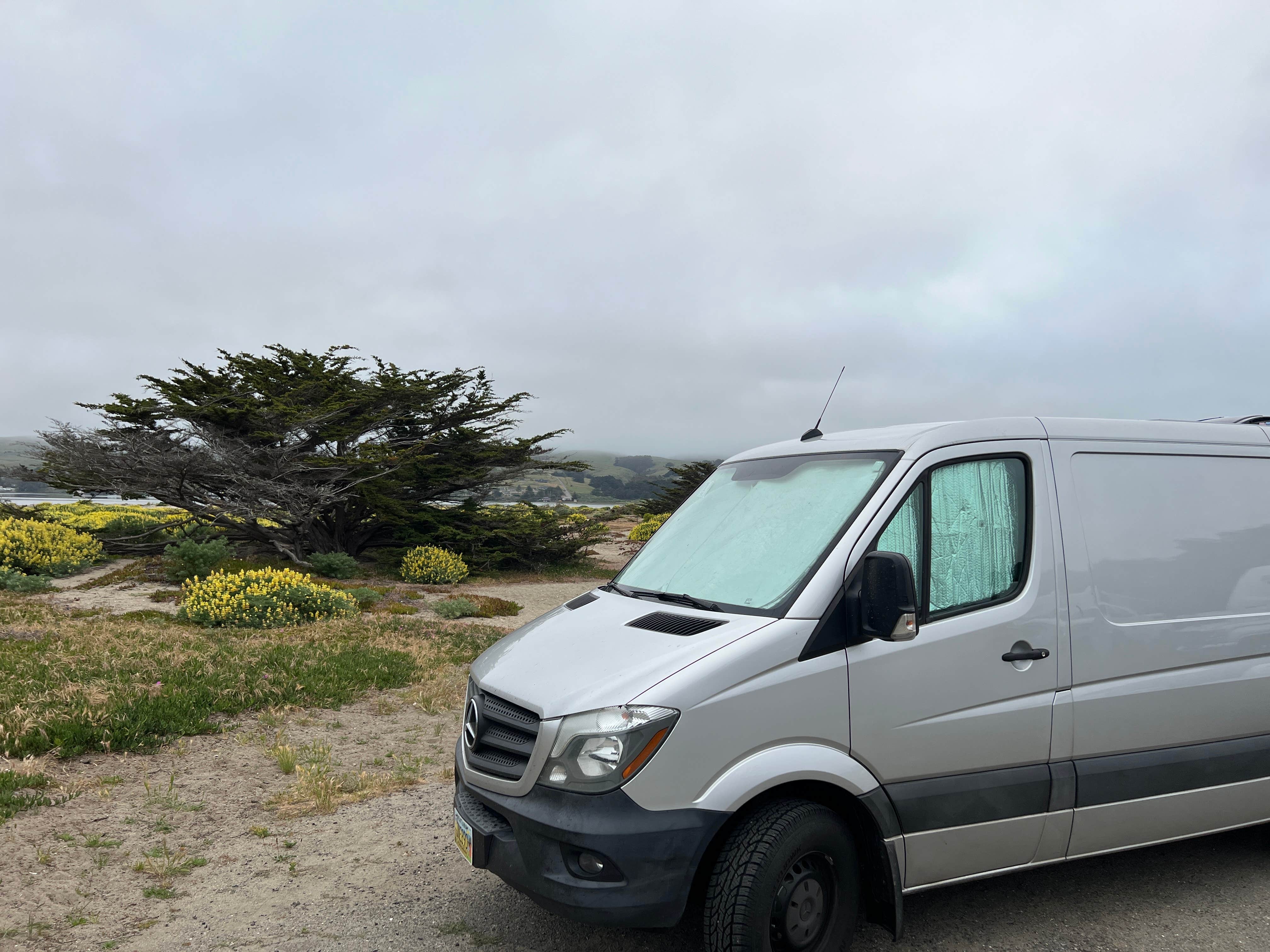 Chris N.'s photo of rv camping at Doran Regional Park near Duncans Mills, CA
