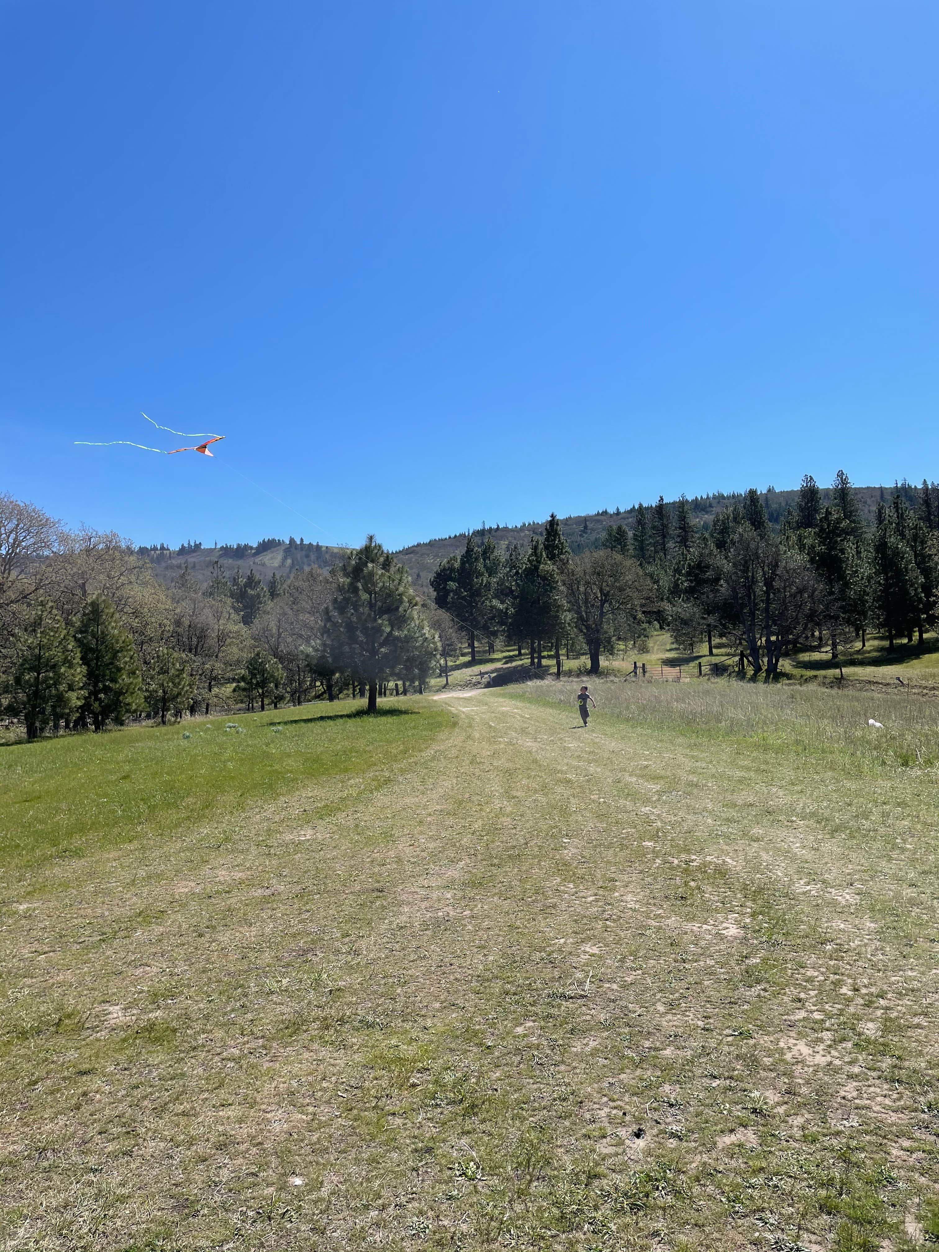 Camper-submitted photo at Roots Rise Family Farm near The Dalles, OR