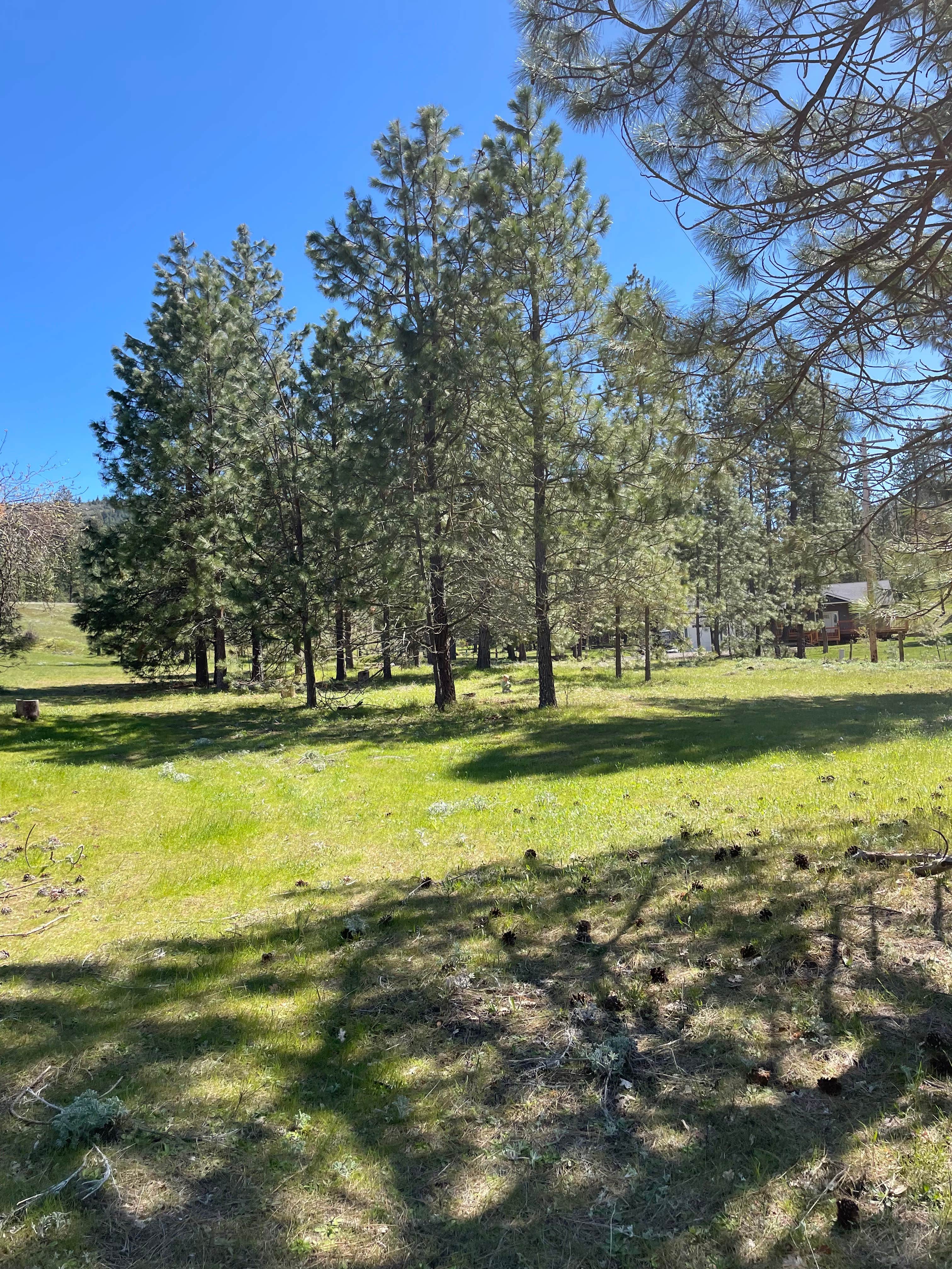 Camper-submitted photo at Roots Rise Family Farm near The Dalles, OR