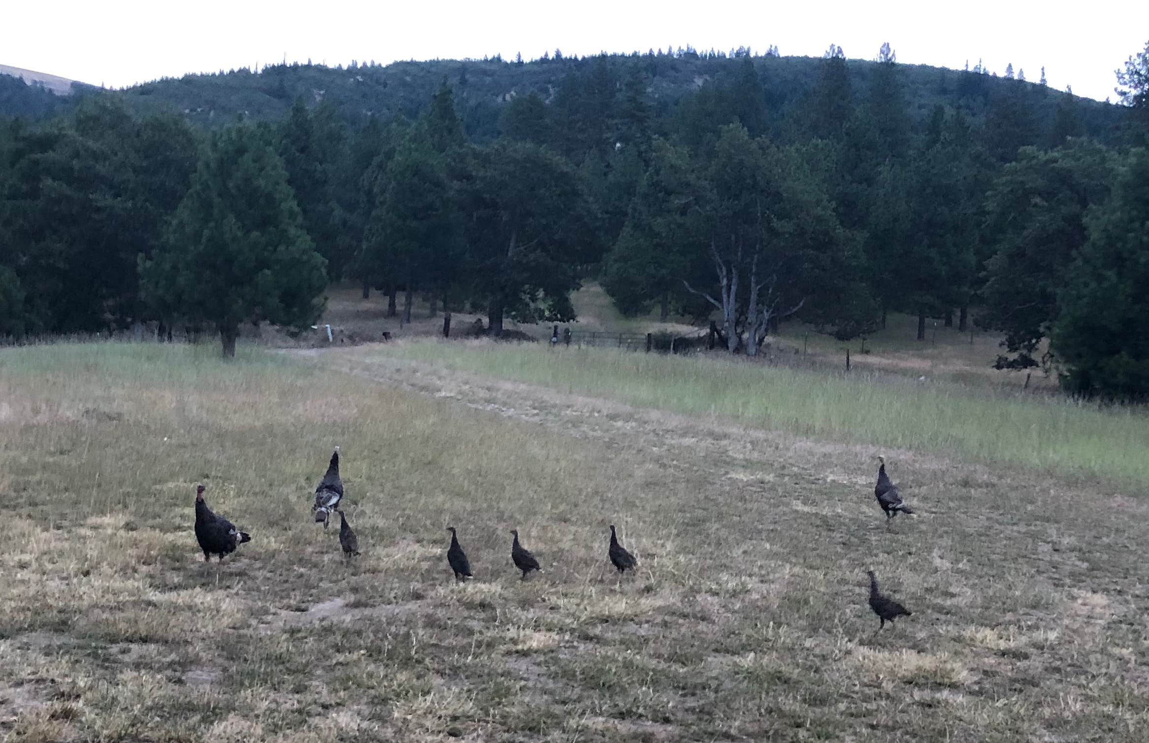 Camper-submitted photo at Roots Rise Family Farm near The Dalles, OR