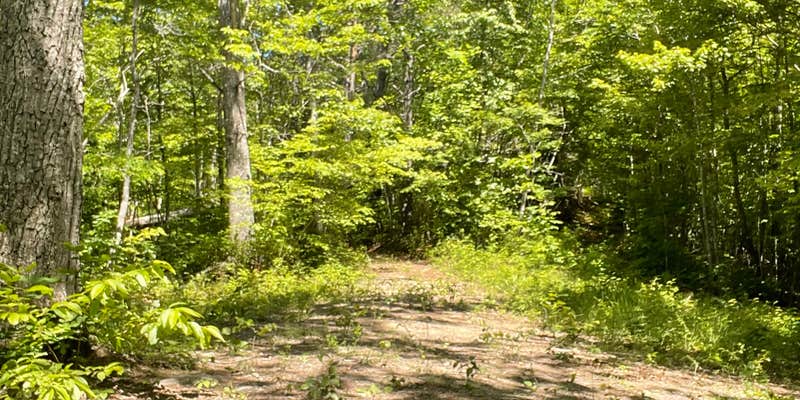 Camper submitted image from Whitaker Farm