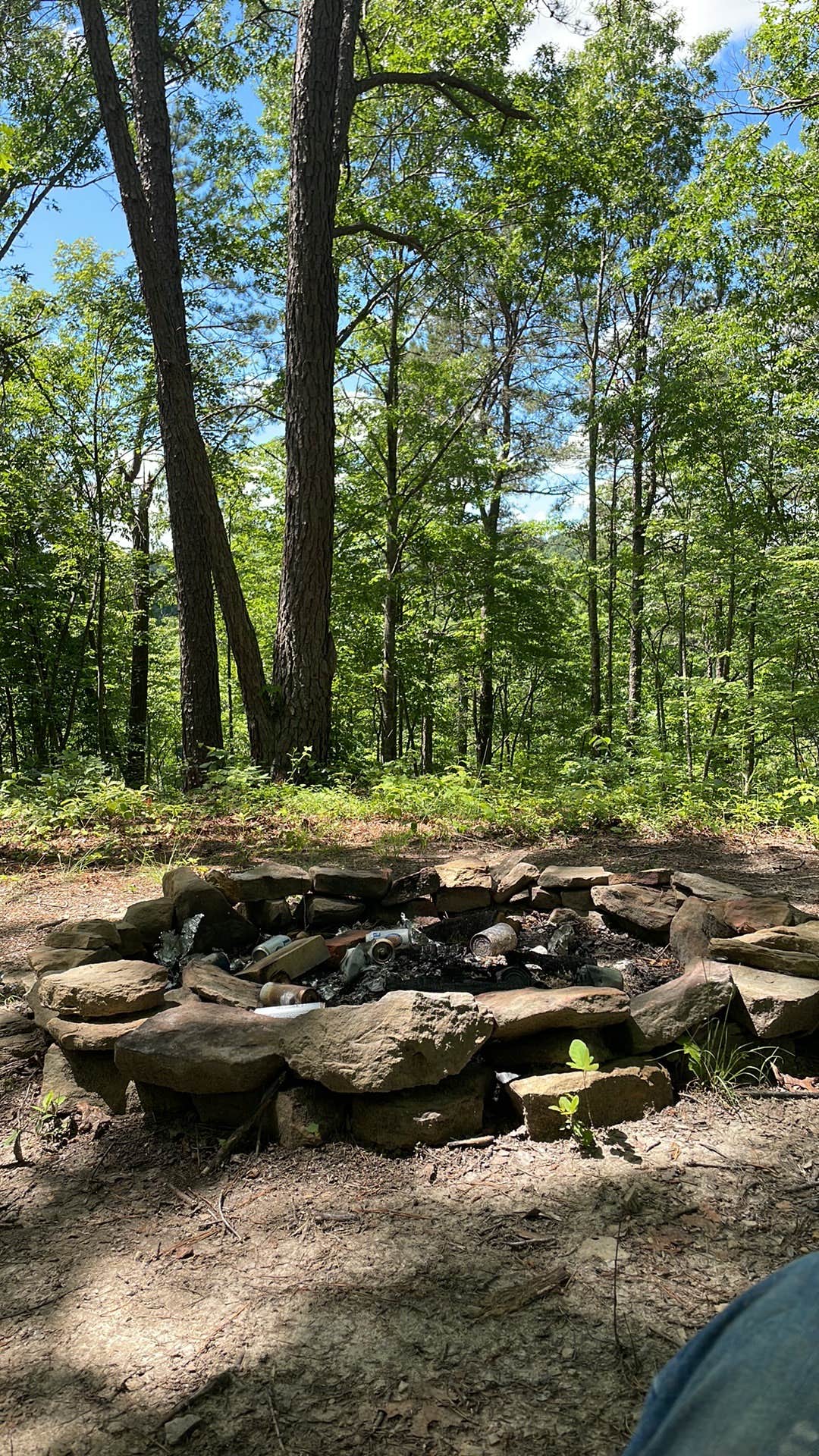Camper submitted image from Whitaker Farm - 2