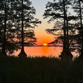 Review photo of South Campground — Reelfoot Lake State Park by justin F., May 31, 2023