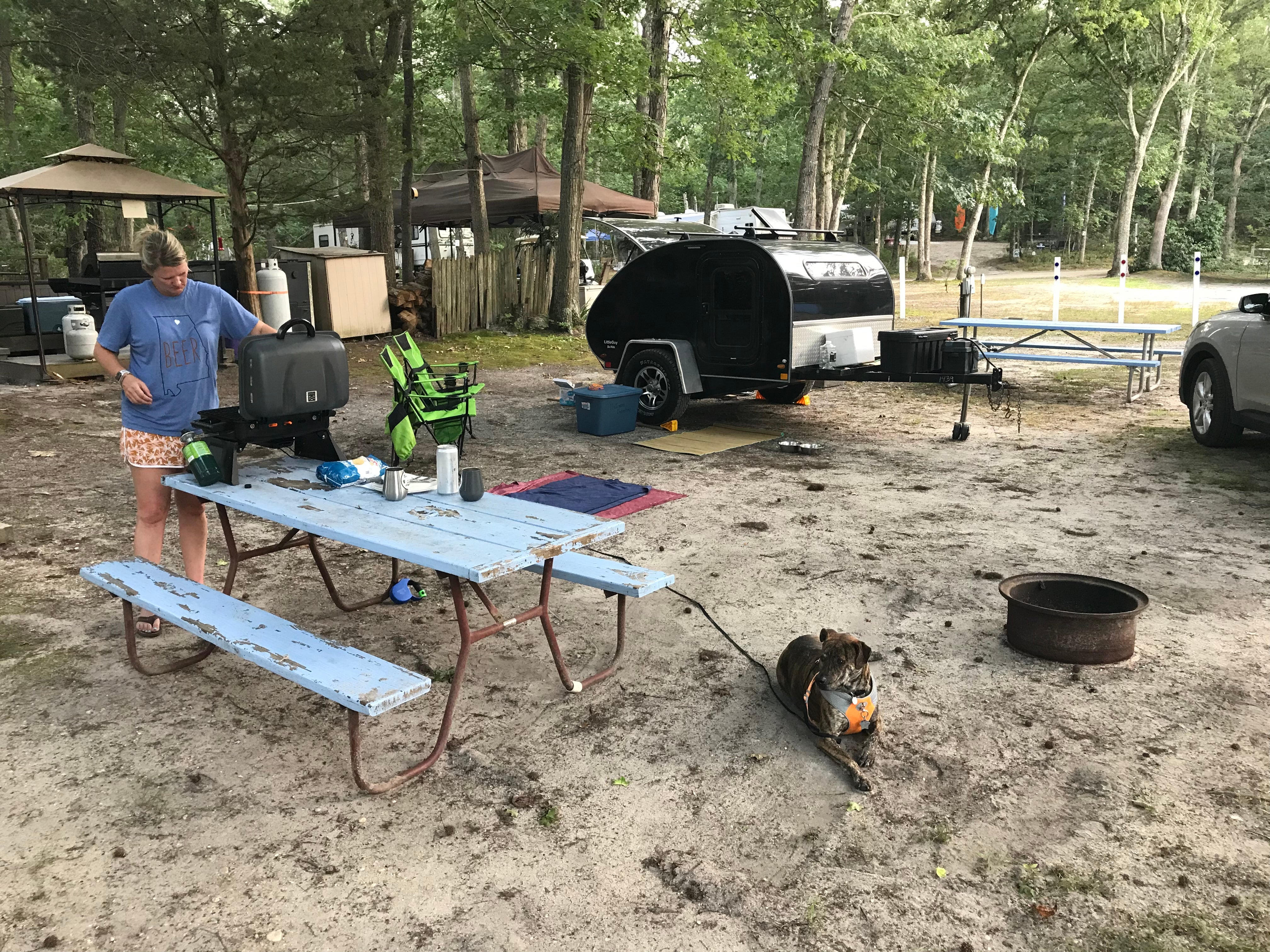 Camper submitted image from Atlantic Blueberry RV Park - 1