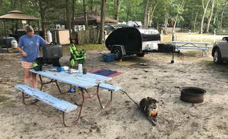 Steve V.'s photo of camping with pets at Atlantic Blueberry RV Park near Toms River, NJ