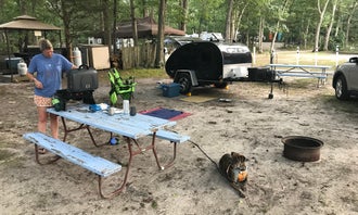 Camping near Thousand Trails Chestnut Lake: Atlantic Blueberry RV Park, Port Republic, New Jersey
