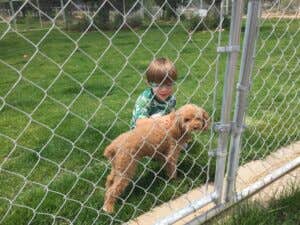 MCRV R.'s photo of camping with pets at Mammoth Creek RV Resort near Panguitch, UT