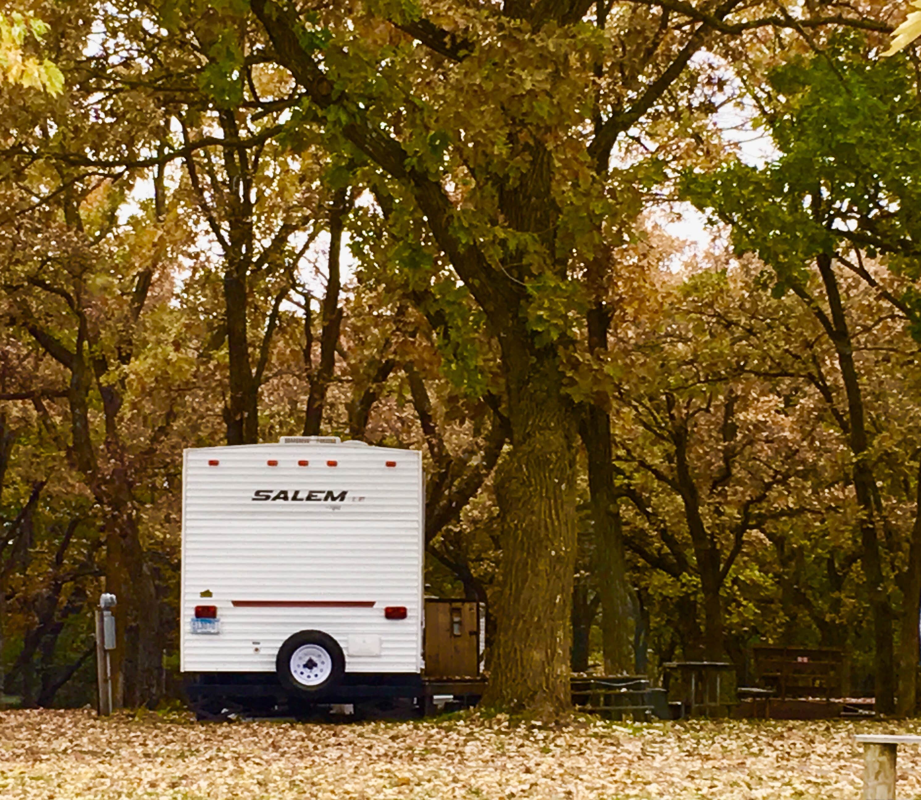 Camper submitted image from Two Rivers Campground - 3
