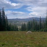 Review photo of Buffalo Pass Dispersed by Christian M., May 31, 2023