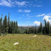 Review photo of Buffalo Pass Dispersed by Christian M., May 31, 2023