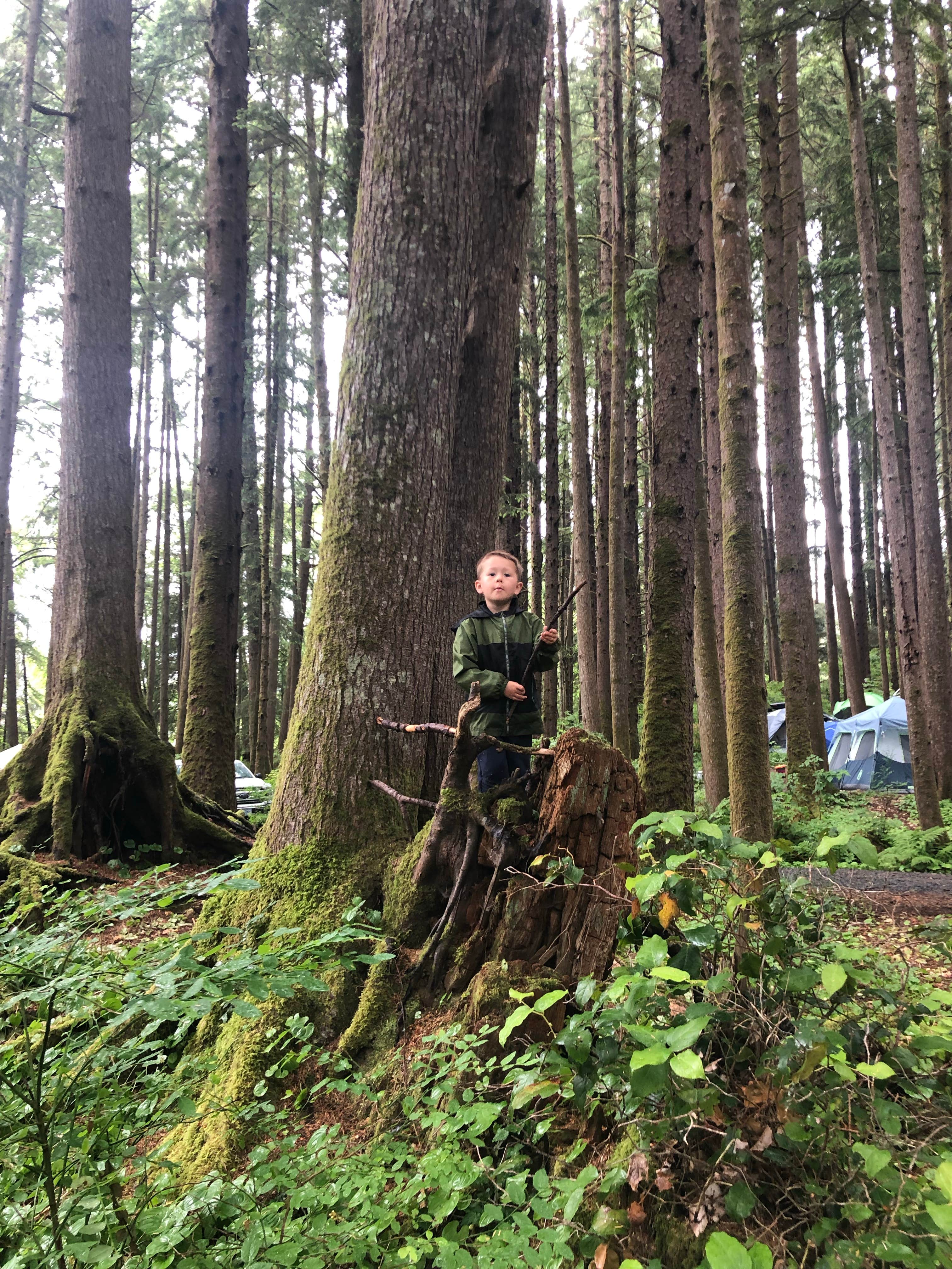 Camper-submitted photo at Wright's for Camping near Cannon Beach, OR