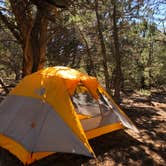 Review photo of North Rim Campground — Black Canyon of the Gunnison National Park by Joshua D., June 1, 2023