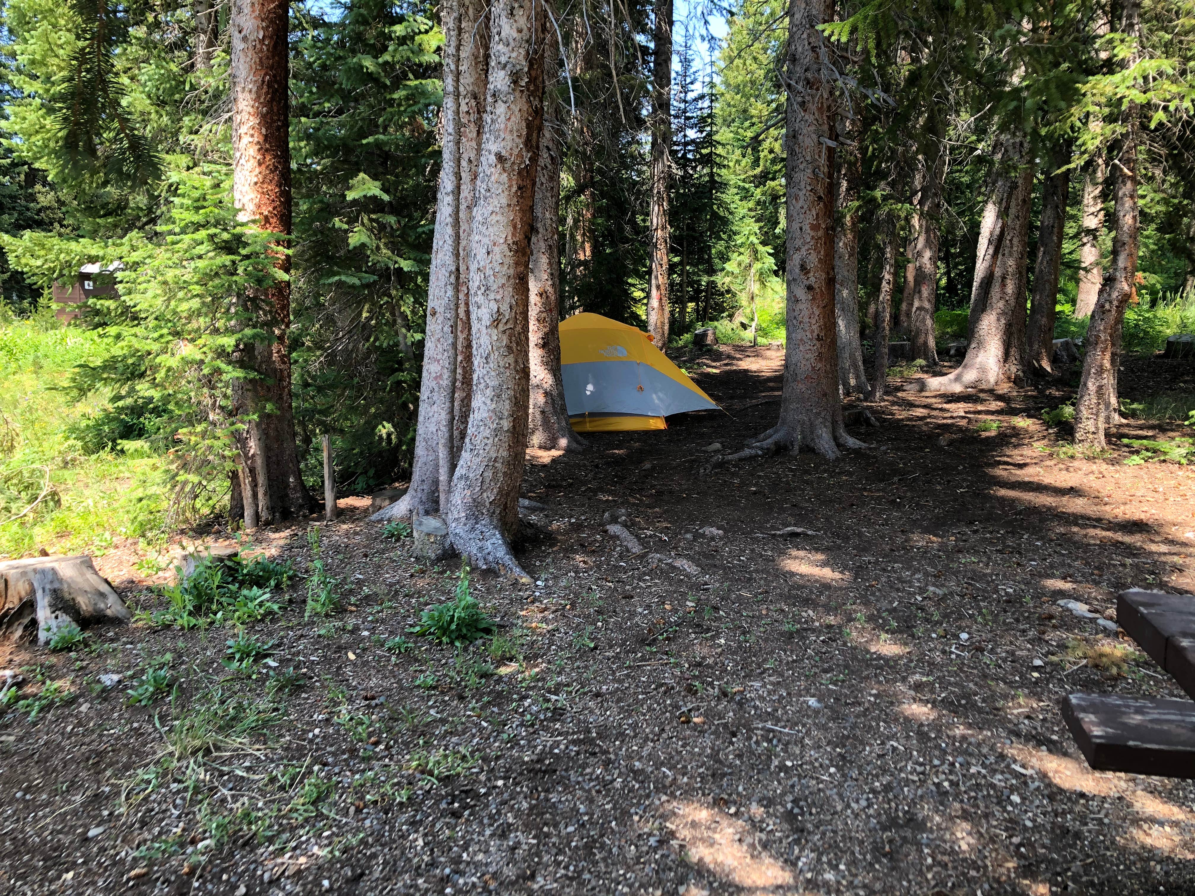 Joshua D.'s photo at Dumont Campground near Coalmont, CO