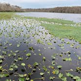 Review photo of Camp Chowenwaw Park by Stuart K., June 1, 2023