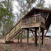 Review photo of Camp Chowenwaw Park - Treehouse Point by Stuart K., June 1, 2023