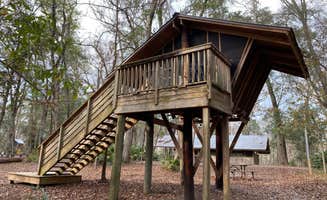 Stuart K.'s photo of a cabin at Camp Chowenwaw Park near Fleming Island, FL
