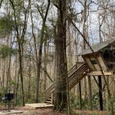 Review photo of Camp Chowenwaw Park - Treehouse Point by Stuart K., June 1, 2023