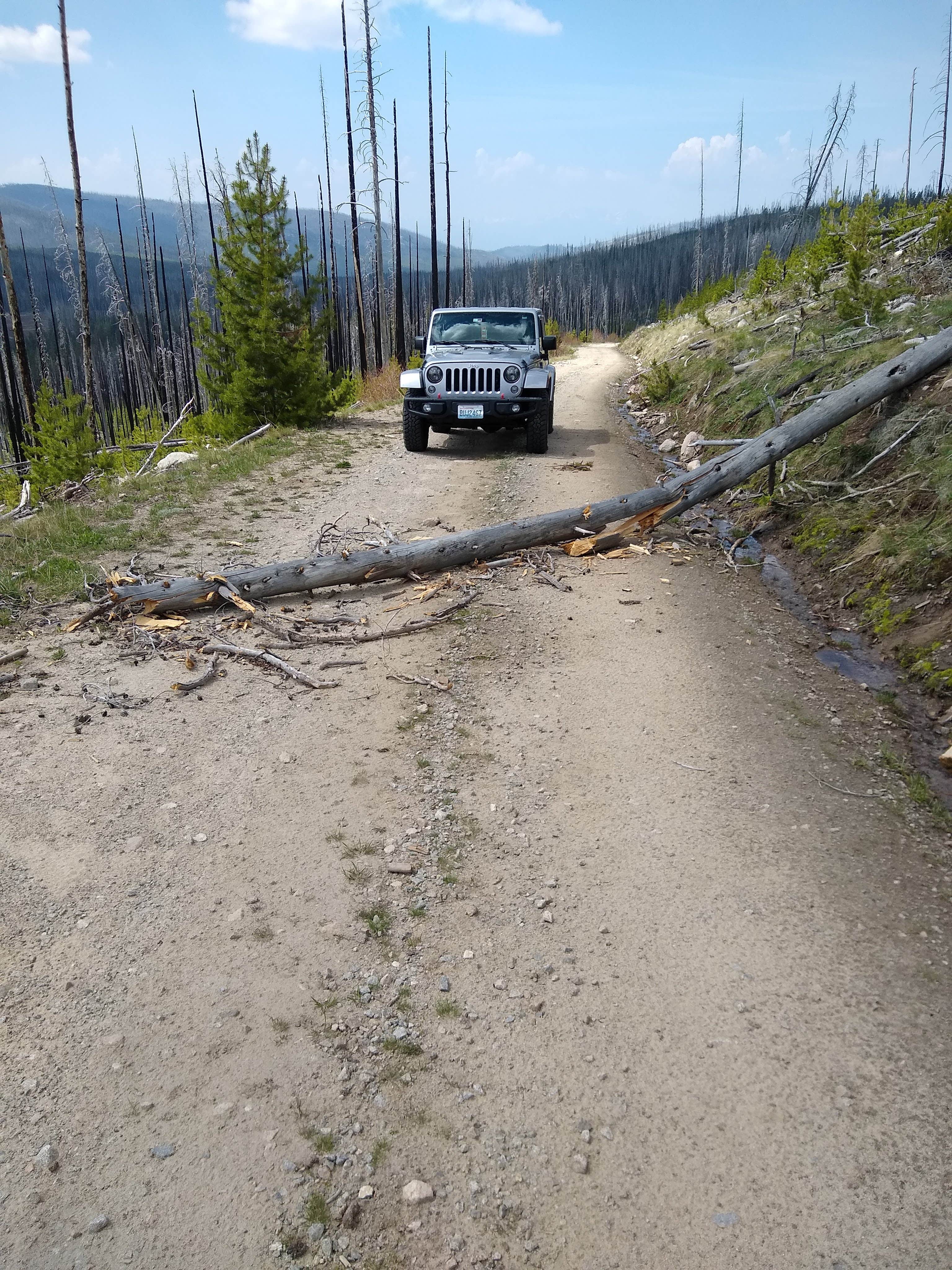 Camper submitted image from Tiffany Springs Campground - 2
