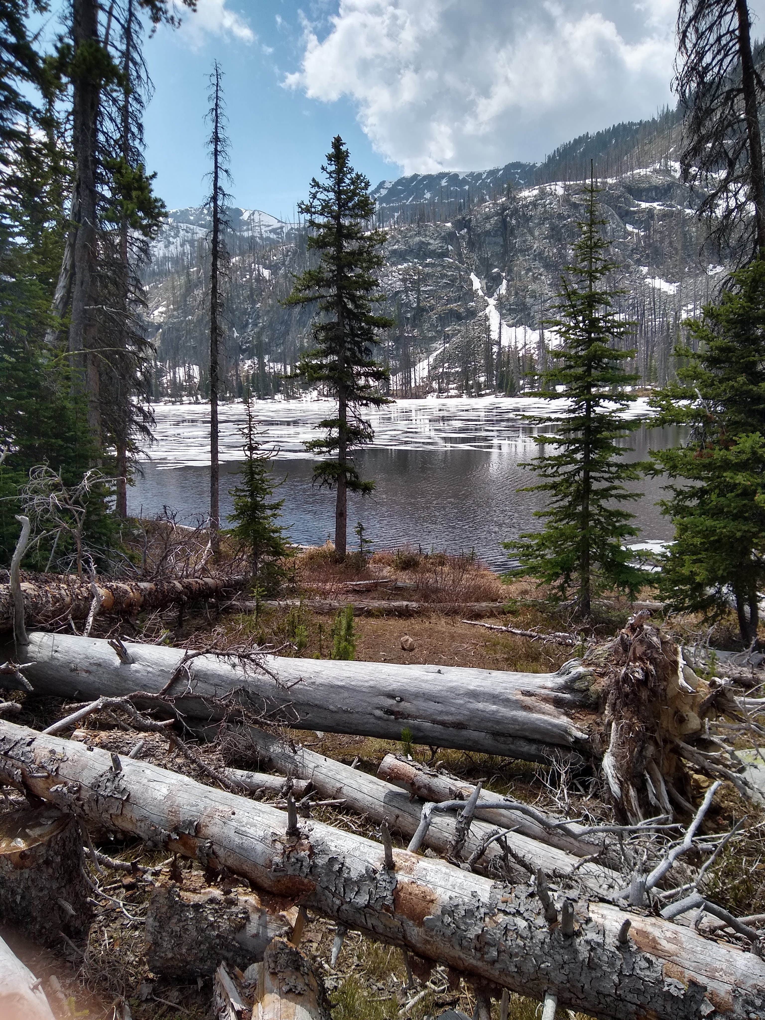 Camping near Oriole Campground: Tiffany Springs Campground, Conconully, Washington