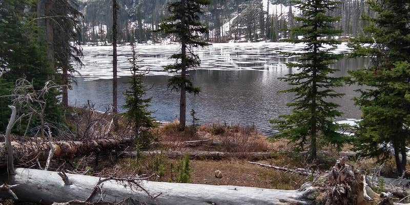 Camper submitted image from Tiffany Springs Campground