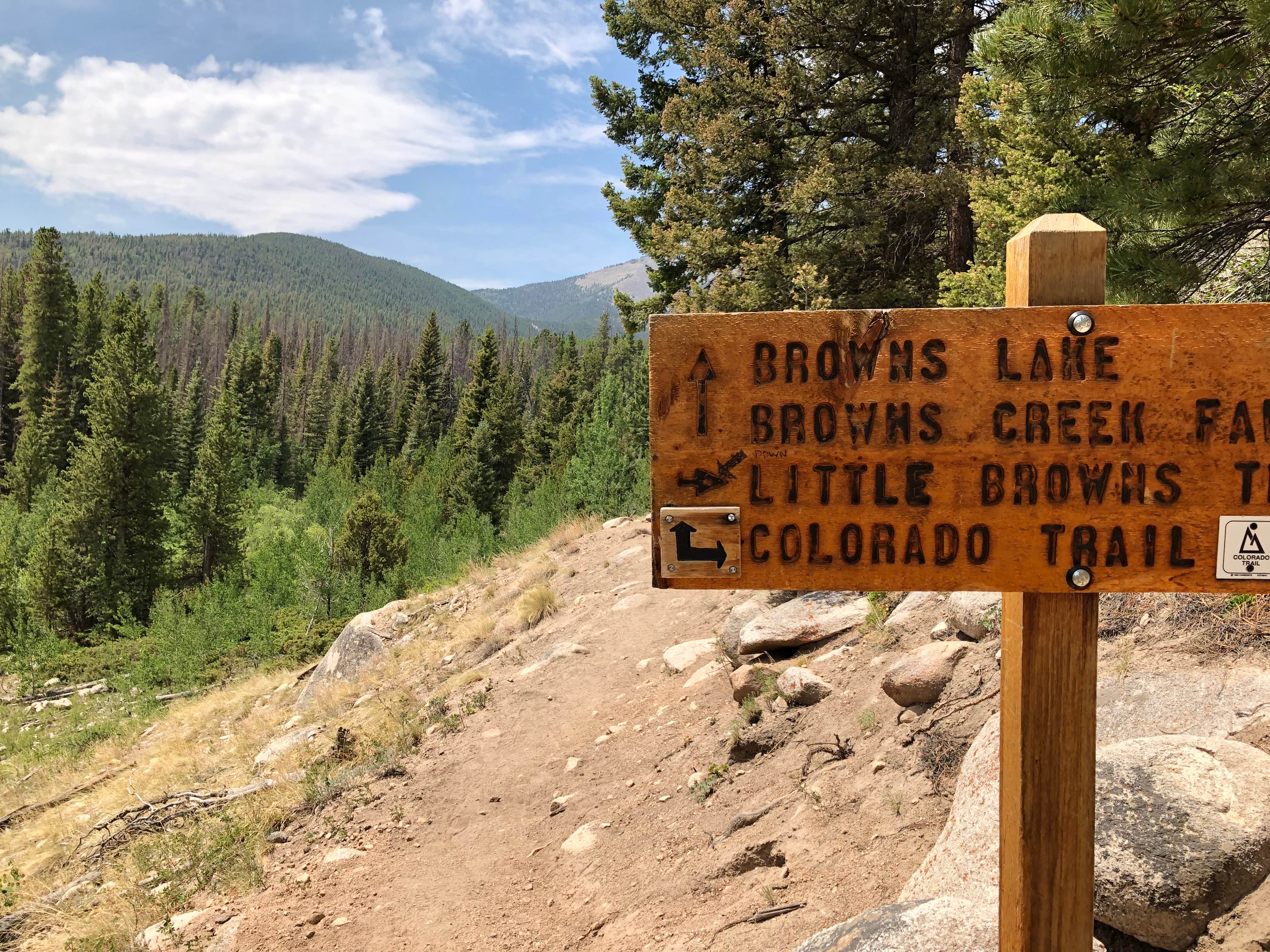 Camper submitted image from Browns Creek (South) Dispersed Camping - 4